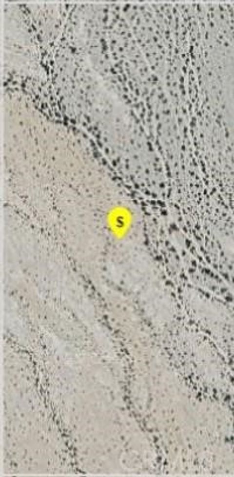 Photo of 0 Vacant Land, Desert Center, CA 92239 (MLS # IV26031903)