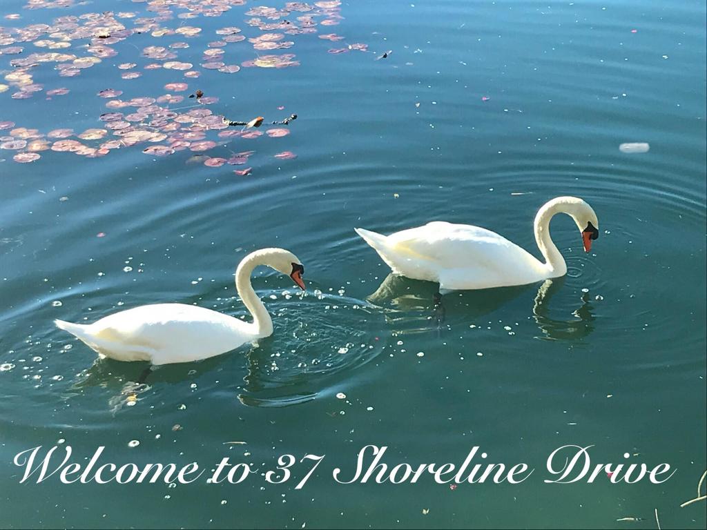 37 Shoreline Drive