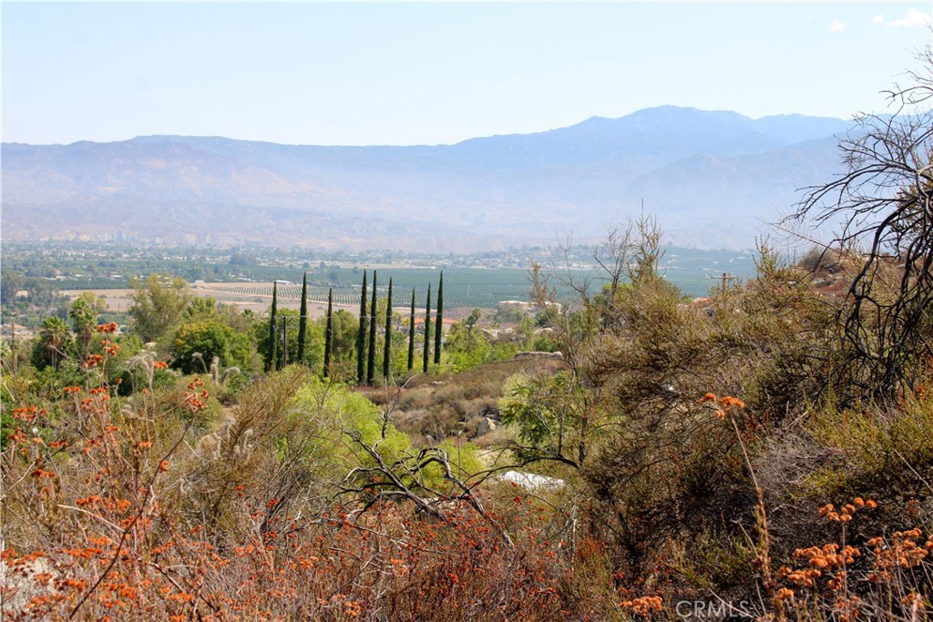1.78 Acres with pad area AND WATER METER and shed building in the Hills just above East Hemet. Two APN#s with this sale. Parcels 555-350-021 and 555-350-022 included in this listing. Desirable neighborhood of estate homes with great views of the Valley and Mountains. Great location with a rural feel yet just minutes outside the city. Zoning is R-1-1 and elevation is 2166 Feet. No HOA. Adjacent lots available for sale from same owner for anyone wanting a larger parcel in this area.