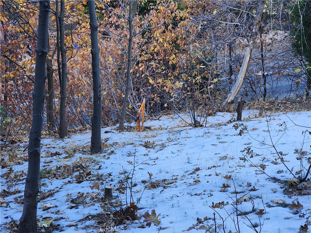 Arrowhead Woods (AWHW) - Land