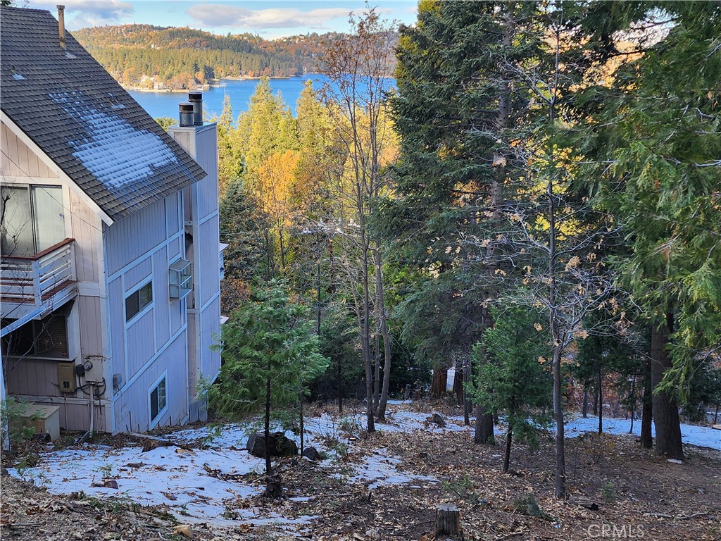 Fantastic lakeview lot with beautiful woodsy setting...includes Lake Rights! This gently sloped (approx. 4489 SQ FT) lot goes street to street with legal address assigned on Fremont Road. All utilities (water,sewer,gas,electric,phone,internet,cable) conveniently located at or near the paved and county maintained street. The lot is ideal for a level entry 2 or 3 story home that takes advantage of the dramatic close up lakeviews, views of Lake Arrowhead Village and the distant ridgeline views. You'll have an amazing close up view of the 4th of July fireworks. Great "Old Arrowhead" location on the South side of Lake Arrowhead with lake access less than 1/2 mile away and Lake Arrowhead Village also nearby. Beautiful custom homes throughout the neighborhood with new construction lakeview homes in Lake Arrowhead typically ranging from $1.5 million to $3 million. Great lot for a builder or to design your own dream home. OWNER MAY CARRY/FINANCE with reasonable down payment! Don't miss this unique opportunity...make your offer today!