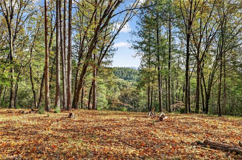 Photo of 0 Burgundy Lane, Forest Ranch, CA 95942 (MLS # SN25270403)