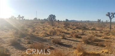 APN# 0459-331-07 // 4.4 Acres (191,664 SF lot). Adjacent lot also for sale, sold separately, APN# 0459-331-06 (4.84 acres). Buy both for a total of 9.24 acres or separate. Located west of Hwy 395 and south of El Mirage Rd. It is near FOUR block mobile home tract. Build your own dream home or hold on to it for future residential development. Buyer to verify all information: zoning, utilities and use of land. Seller may offer financing with reasonable down payment and terms.