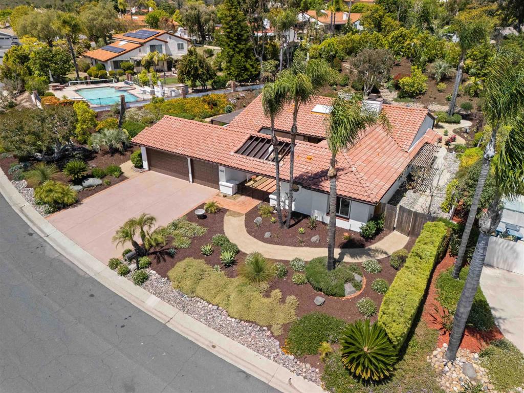 3565 Avenida Amorosa