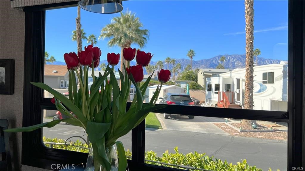 Desert Shadows RV Resort (33619) - Manufactured In Park