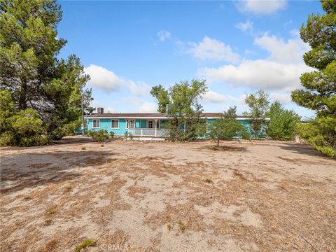 5124 Luna Road Phelan CA 92371