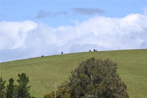 Tiny photo for 4144 Harmony Valley Road Rd, Harmony, CA 93435 (MLS # SC26071368)