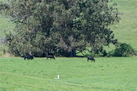 Tiny photo for 4144 Harmony Valley Road Rd, Harmony, CA 93435 (MLS # SC26071368)