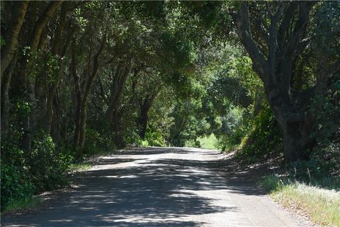 Photo of 4144 Harmony Valley Road Rd, Harmony, CA 93435 (MLS # SC26071368)