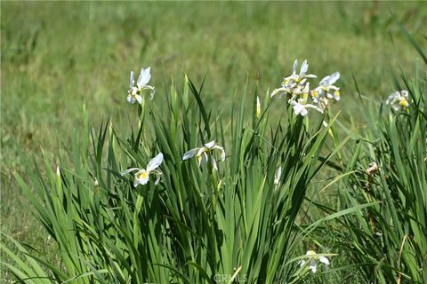 Tiny photo for 4144 Harmony Valley Road Rd, Harmony, CA 93435 (MLS # SC26071368)