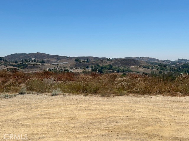 0 Vista Del Bosque