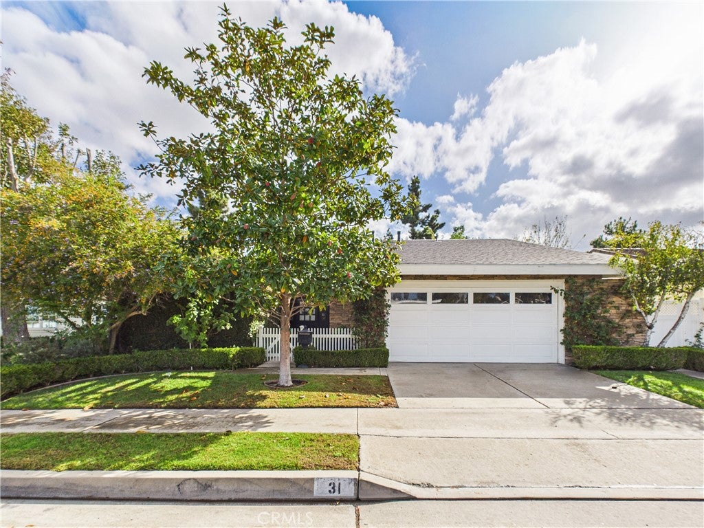 31 Bethany DR