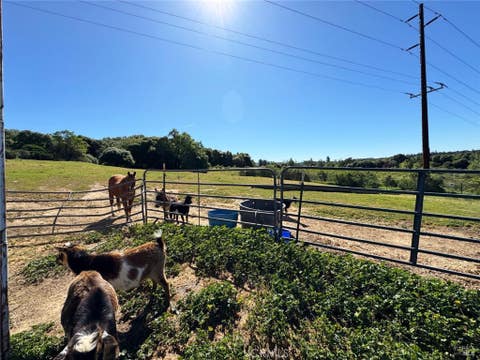 Tiny photo for 4400 Lake Ridge Drive, Ukiah, CA 95482 (MLS # LC26158067)
