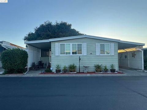 Photo of 137 Zartop St, Oakley, CA 94561 (MLS # 41104899)