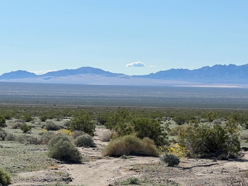 32 Acres