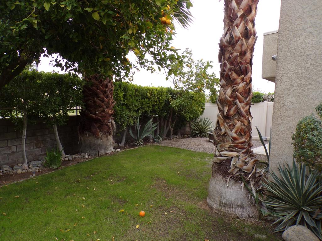 Sunrise Palms - Residential