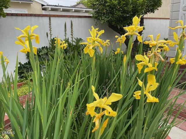 Not Applicable - Residential Lease