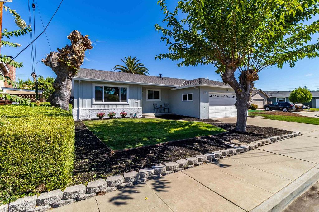 JENSEN TRACT - Residential