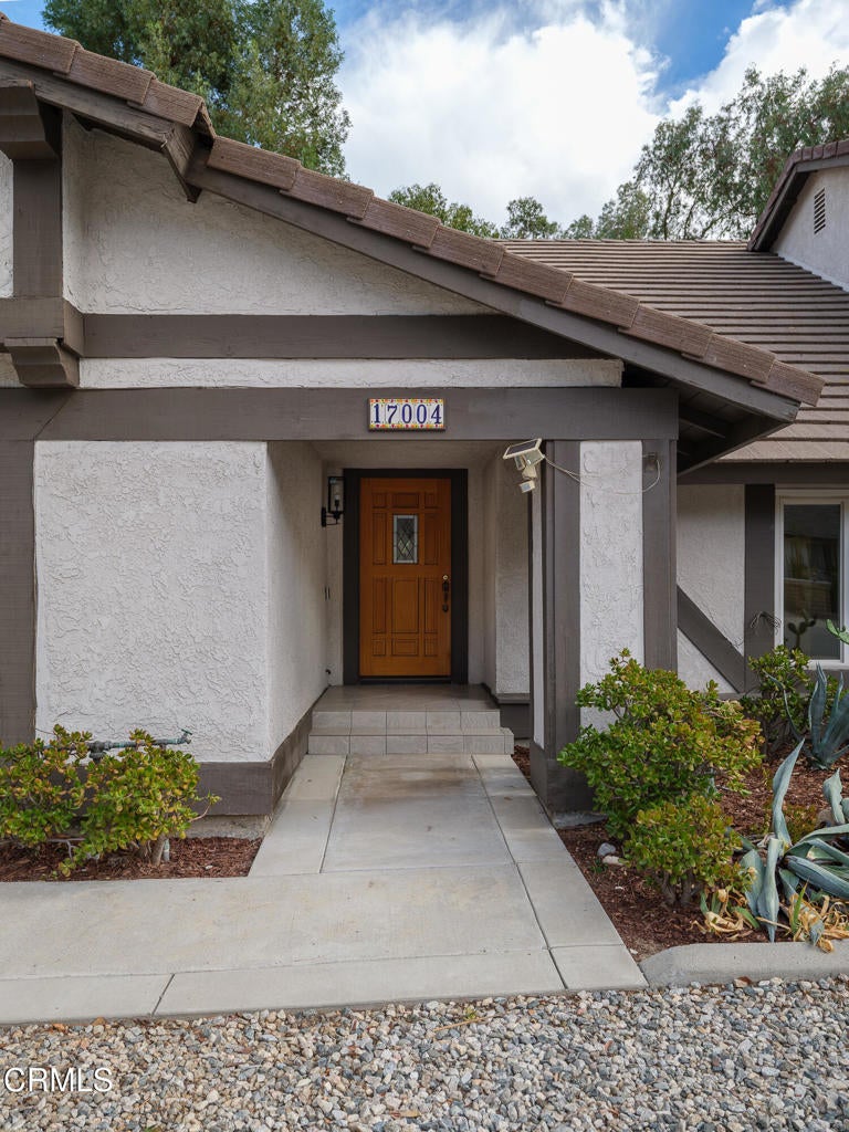 17004 Canvas Street