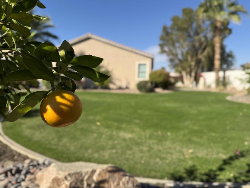 Sun City Shadow Hills (30921) - Residential