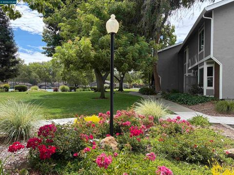Tiny photo for 2834 Royal Ann Ln. LN, Concord, CA 94518 (MLS # 41142189)