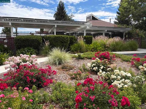 Tiny photo for 2834 Royal Ann Ln. LN, Concord, CA 94518 (MLS # 41142189)