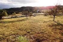 48775 Forest Springs Road