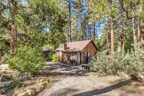 Photo of 54970 Daryll Road, Idyllwild, CA 92549 (MLS # 219137249DA)