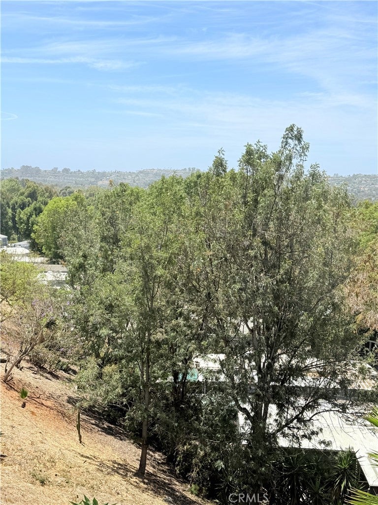 32802 Valle Road 27, San Juan Capistrano CA 92675 - Photo 18