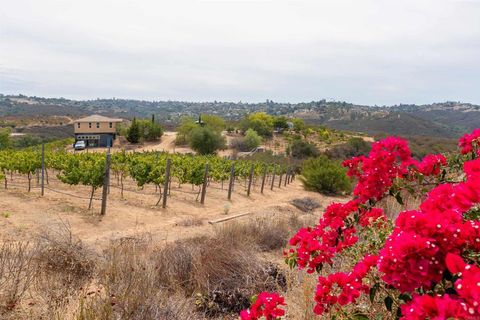 1738 Via De Lago Fallbrook CA 92028