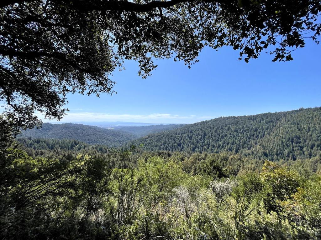 2033 Eureka Canyon Road