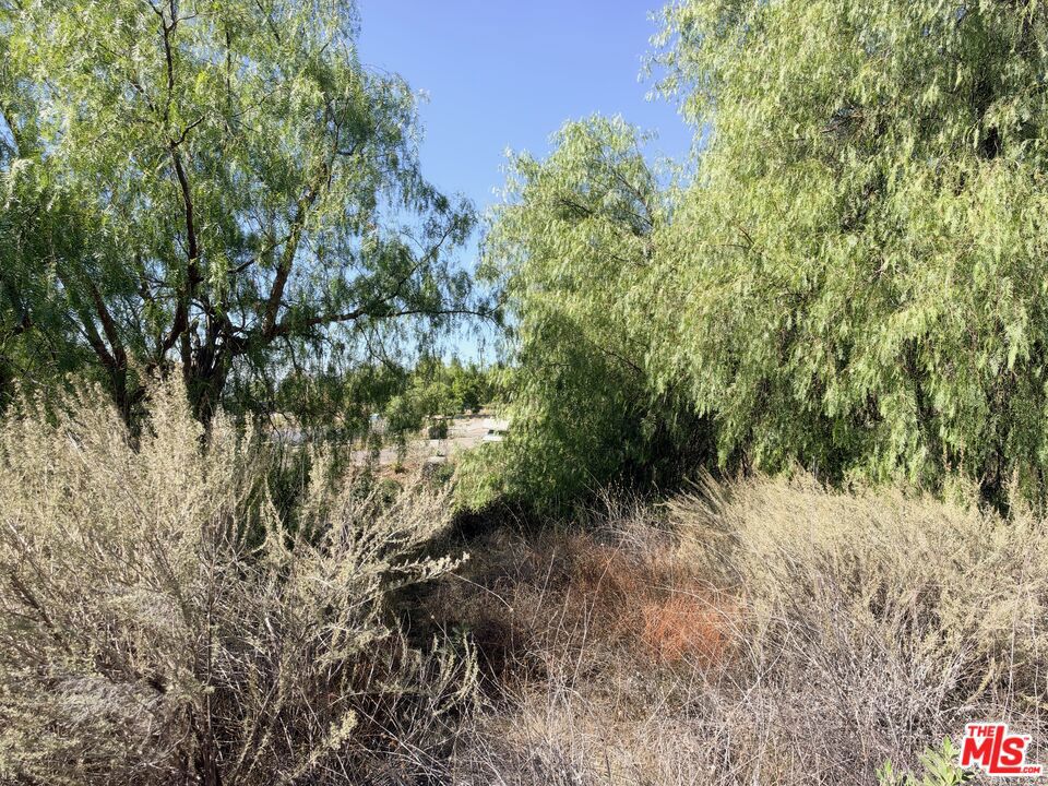 1307 Kagel Canyon Rd