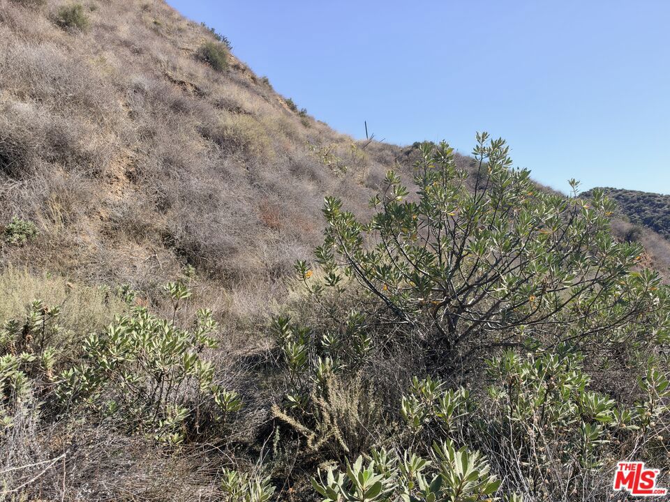 1307 Kagel Canyon Rd