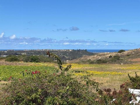 Photo of 4863 Marathon Way WAY, Oceanside, CA 92054 (MLS # NDP2604638)
