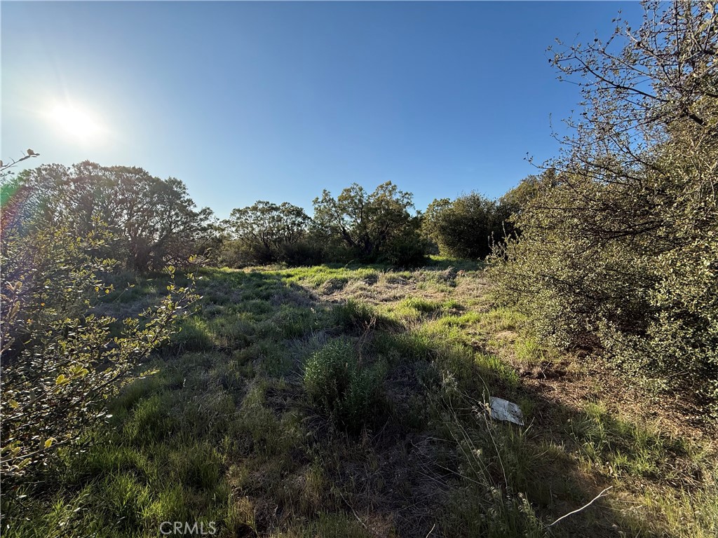 3 Chihuahua Valley Road