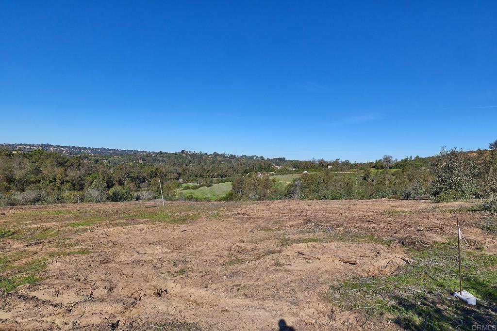 16331 Rambla De Las Flores