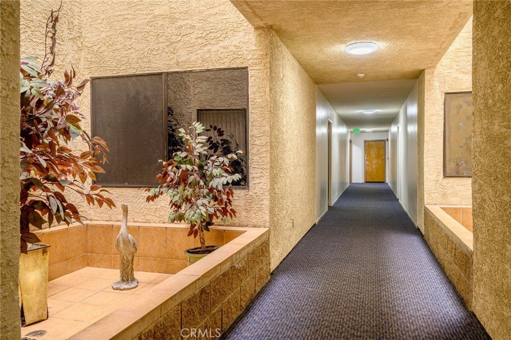 1134 Campbell 307