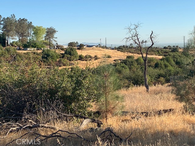 2.97 acre to build your dream home that is off the beaten path. This property is not far from Neal Rd that takes you to Paradise or Hwy 99. There are homes in the area, but not right on top of you. Take a ride and check this property out.