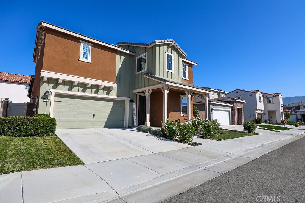 29130 Red Alder
