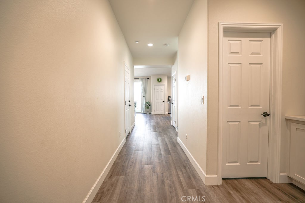 29130 Red Alder