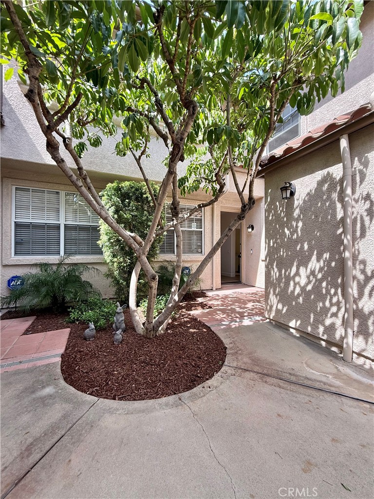 13390 Savanna
