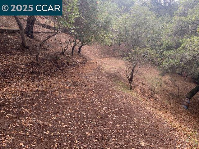 Build a beautiful home on this great semi-wooded lot located in a desirable neighborhood in Oakland. (Buyer to confirm buildability with the City, Fire Dept. etc.) Zoned Multi-family so you may be able to build a Duplex, live in half and rent the other half. This lot is For Sale and the Lot next to it is For Sale also. Both lots to be sold together. Both lots are a down-slope. This is a great opportunity.