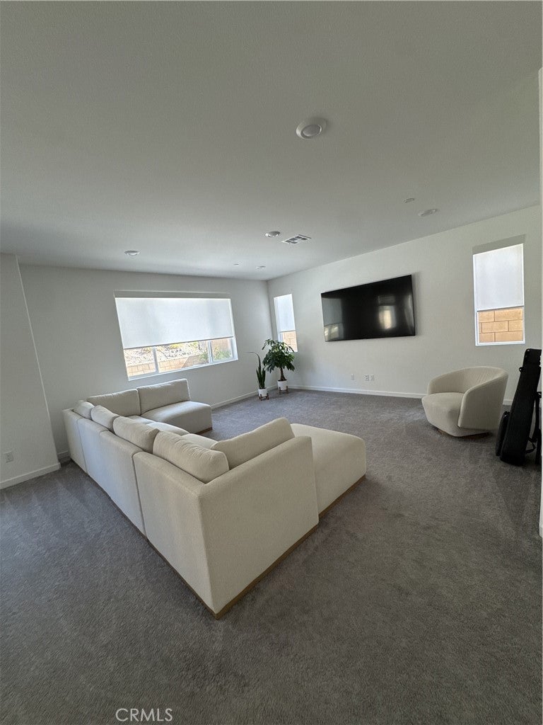 16746 Fern Pine