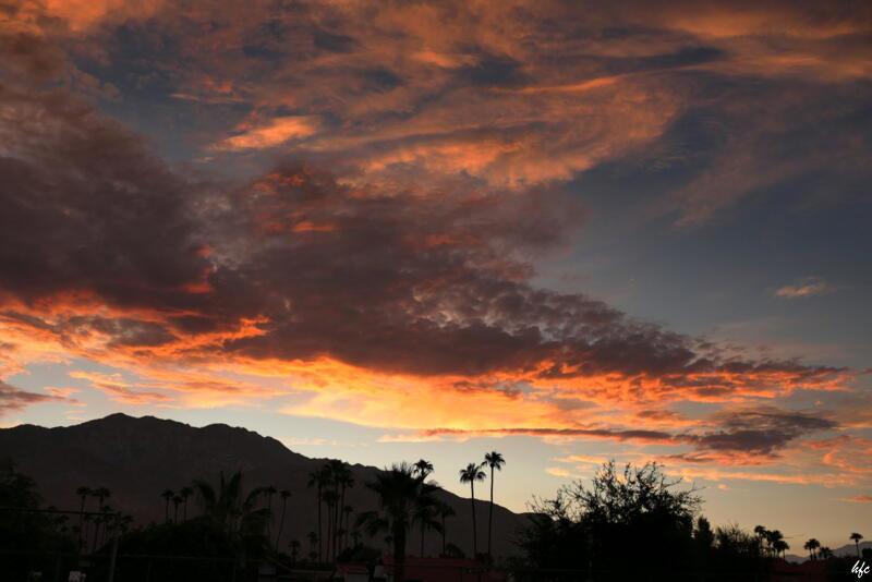 Dorado Villas - Residential