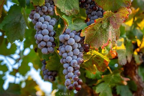 Tiny photo for 8283 Cross Canyons Road, San Miguel, CA 93451 (MLS # NS25217466)