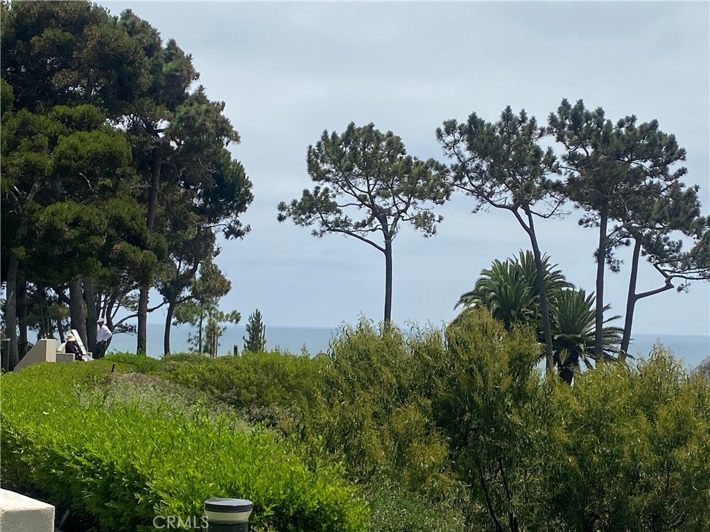 26782 Calle Real, Dana Point CA 92624 - Photo 41