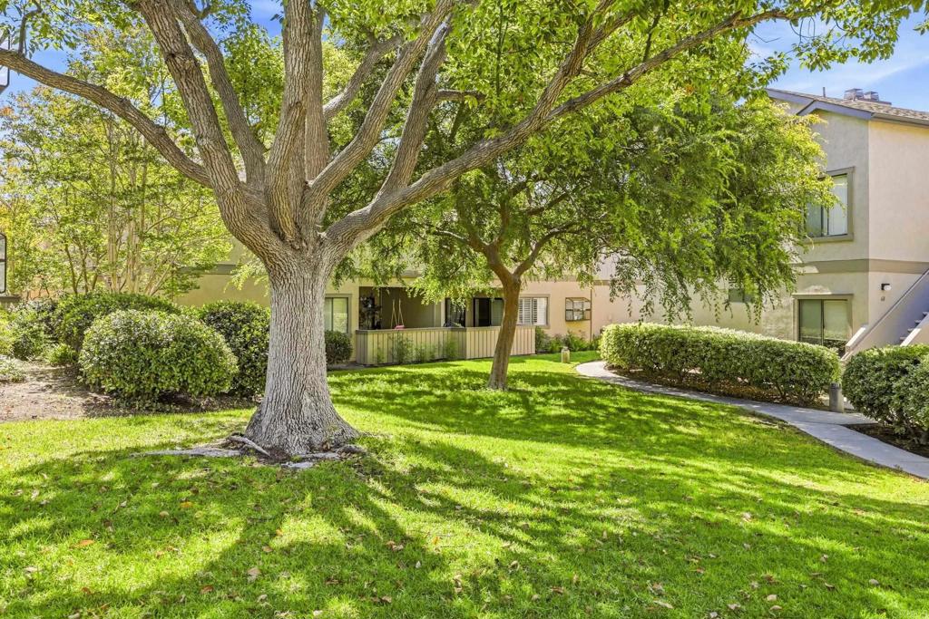 3641 Avocado Village Court 149