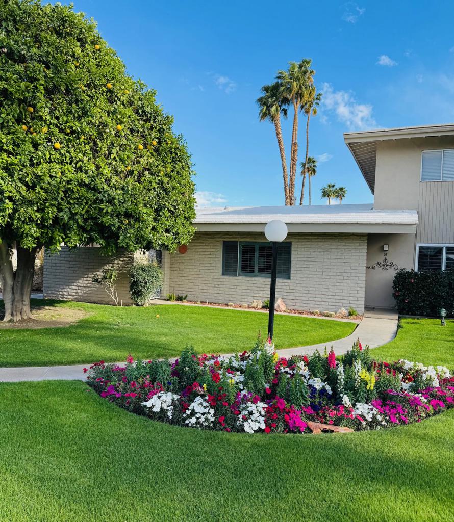 Rarely available and incredibly charming ''dollhouse'' boasting vaulted beamed ceilings, sleek tile flooring and custom features galore. The only unit of this type with 2 bathrooms. You'll love the plantations shutters, cozy outdoor living spaces, 3 skylights, built-in gas wall fireplace and original checkerboard ceiling design in the great room. Located in a quiet location, this one level home with no steps is close but not too close to the pool & spa. The newer mini-split HVAC system is perfect for lower utility bills plus you have your own interior washer & dryer. Each unit has a designated carport with storage above. Situated on over 12 acres Desert Braemar is a low density co-op community, called the 'hidden gem of the desert'. Every amenity is yours including pool/spa, gym, library, workshop, tennis/pickleball, putting green, lawn bowling, shuffleboard, clubhouse with amazing kitchen and terrace, on site manager M-F. Your co-op monthly fee includes all amenities, maintenance, water, sewer, trash, Spectrum high speed internet plus cable including HBO and Showtime AND YOUR PROPERTY TAXES! Snap it up! Desert Braemar is a Stock Cooperative and each owner is issued a 'stock certificate granting a specific number of shares of the complex with exclusive use of a particular unit. Cash sales only. Better hurry on this one before it gets away!