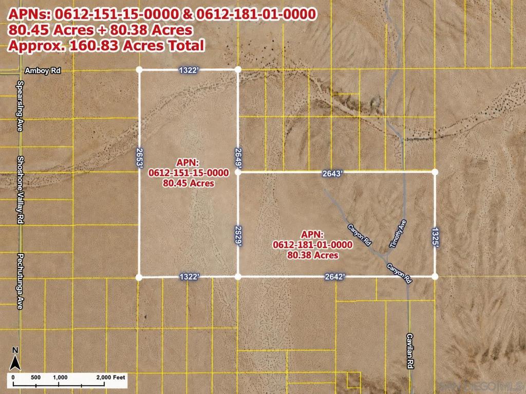 1234 Twenty Nine Palms