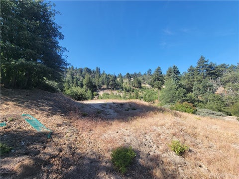 Photo of 33345 Angeles DR, Green Valley Lake, CA 92341 (MLS # IV26163994)